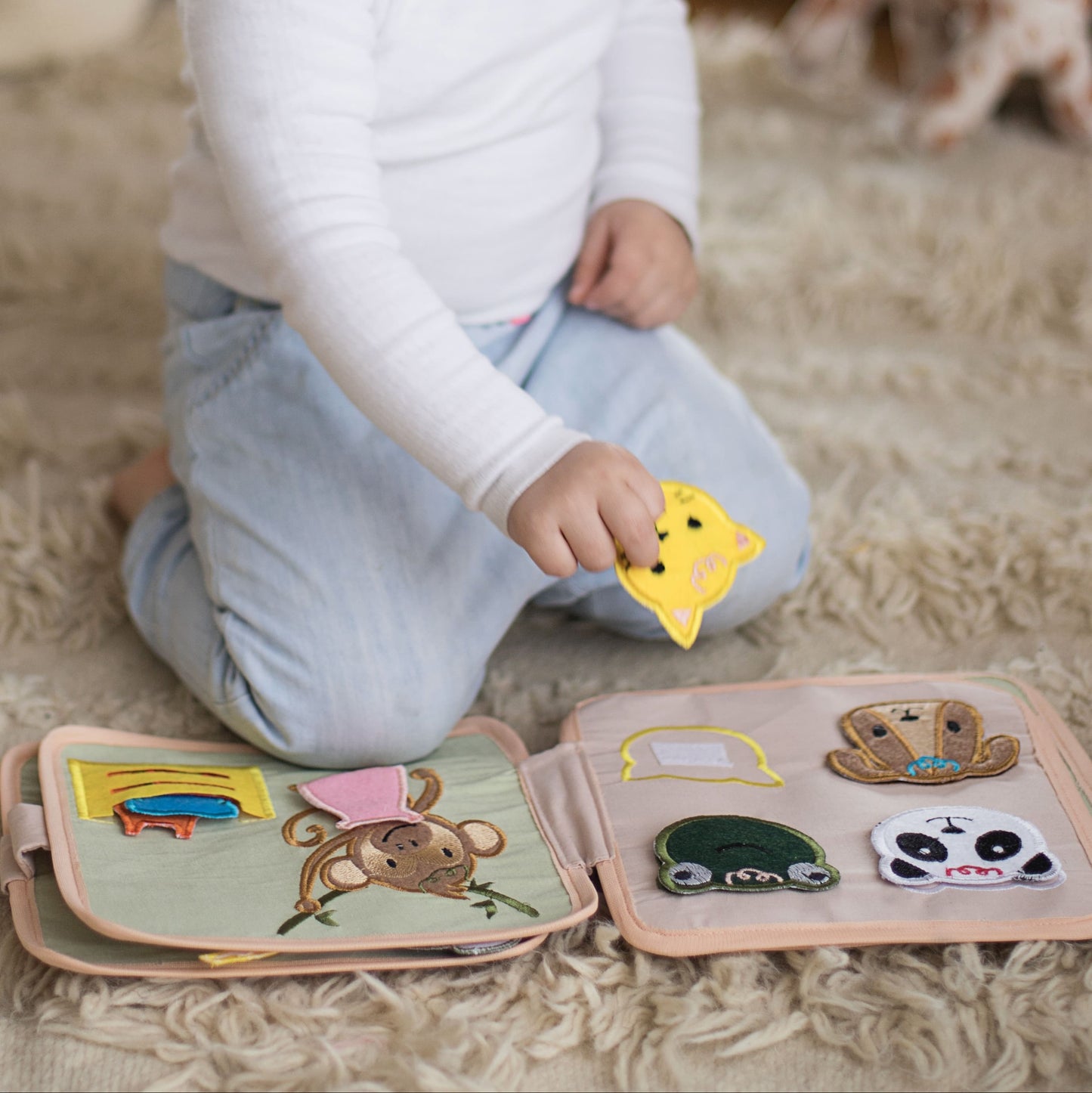 Lion Busy Book - Limited Time Offer