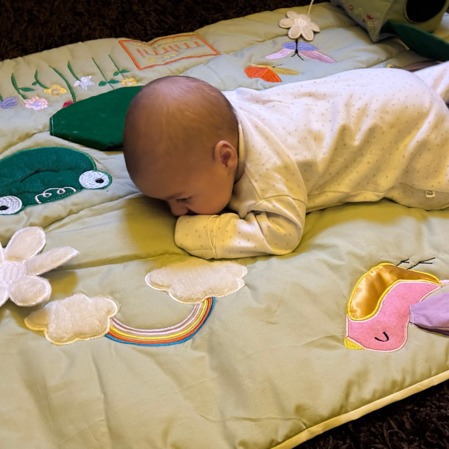 Garden Giggles Play Mat