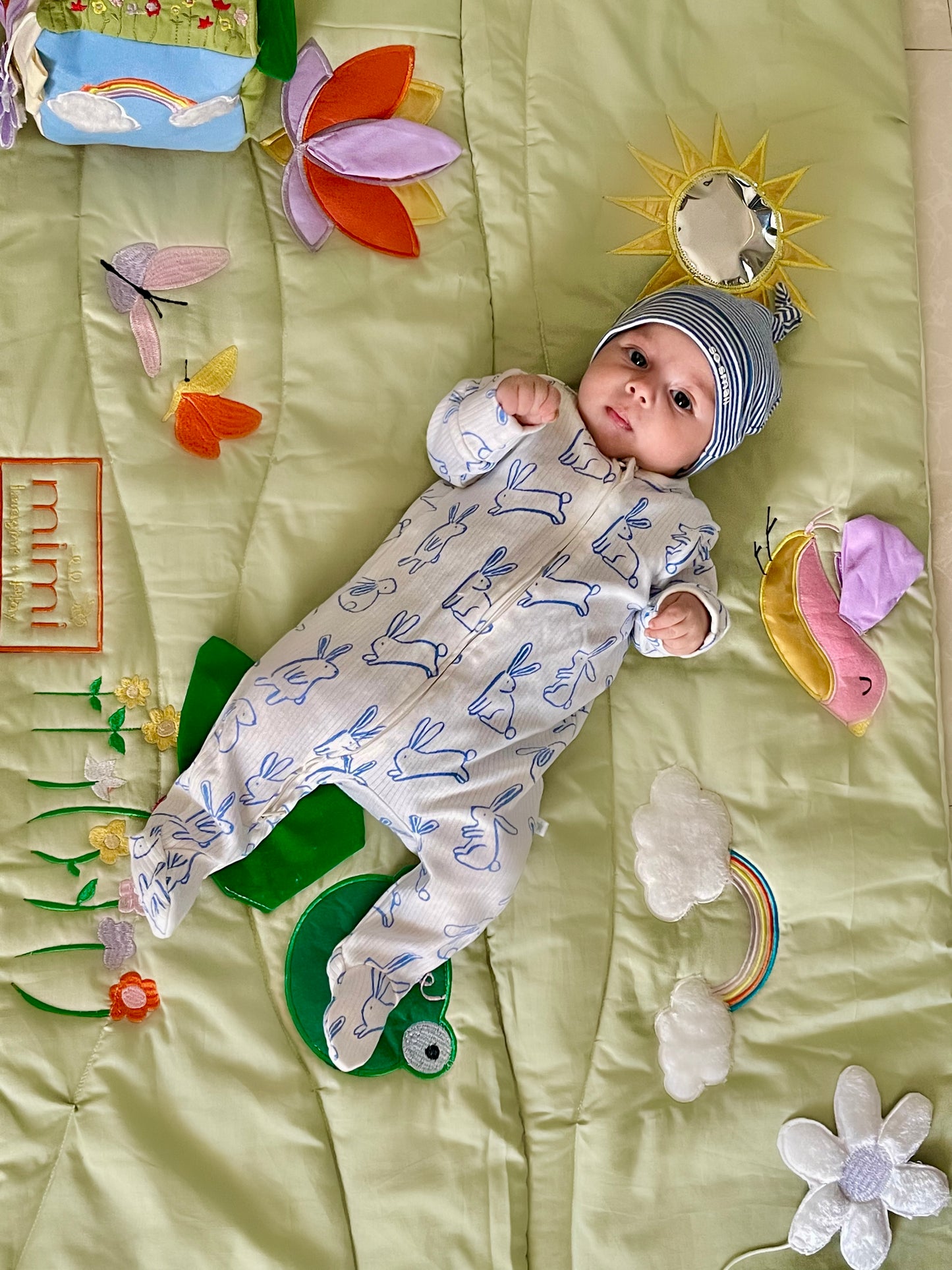 Garden Giggles Play Mat - Launching Price