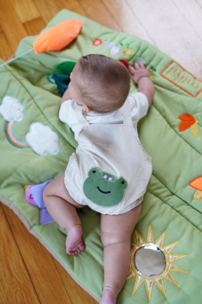 Smiley Frog Overall