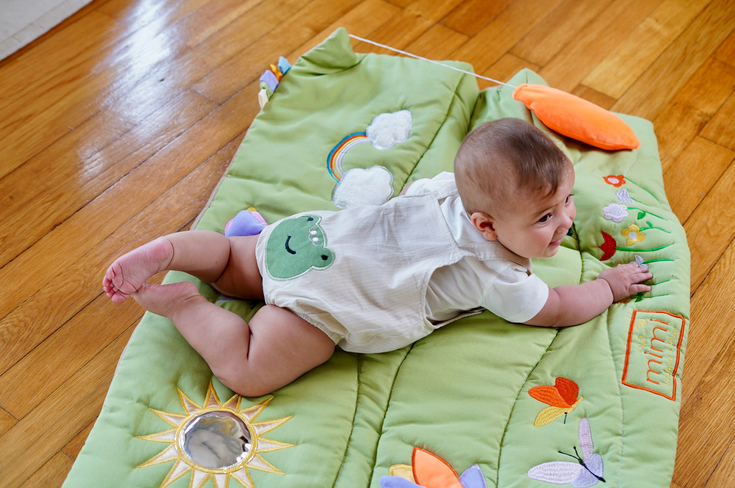 Smiley Frog Overall