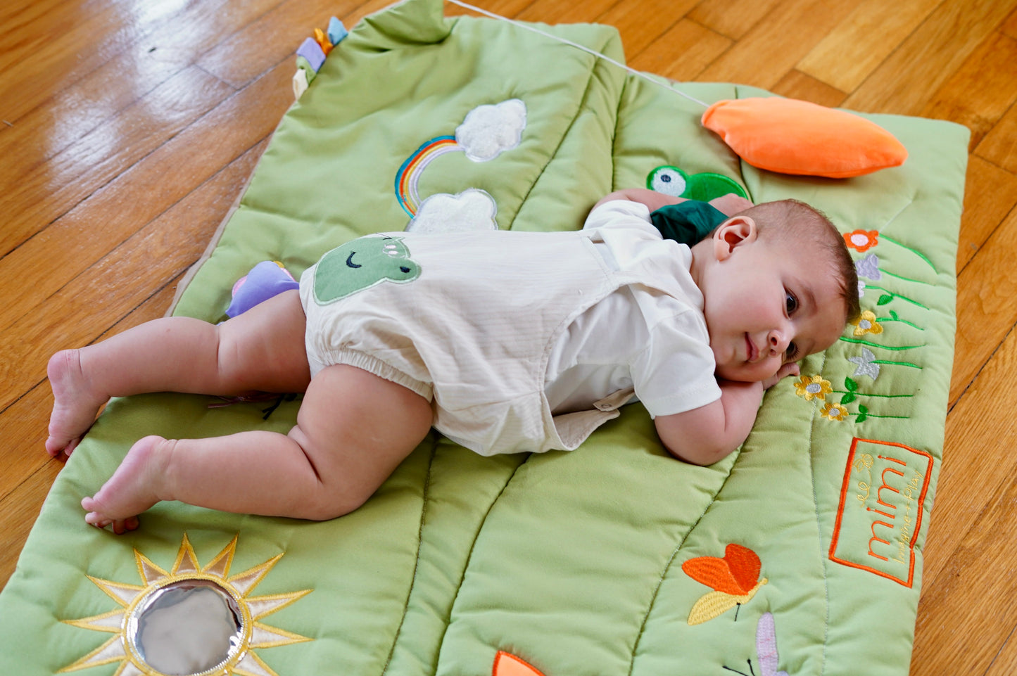 Smiley Frog Overall