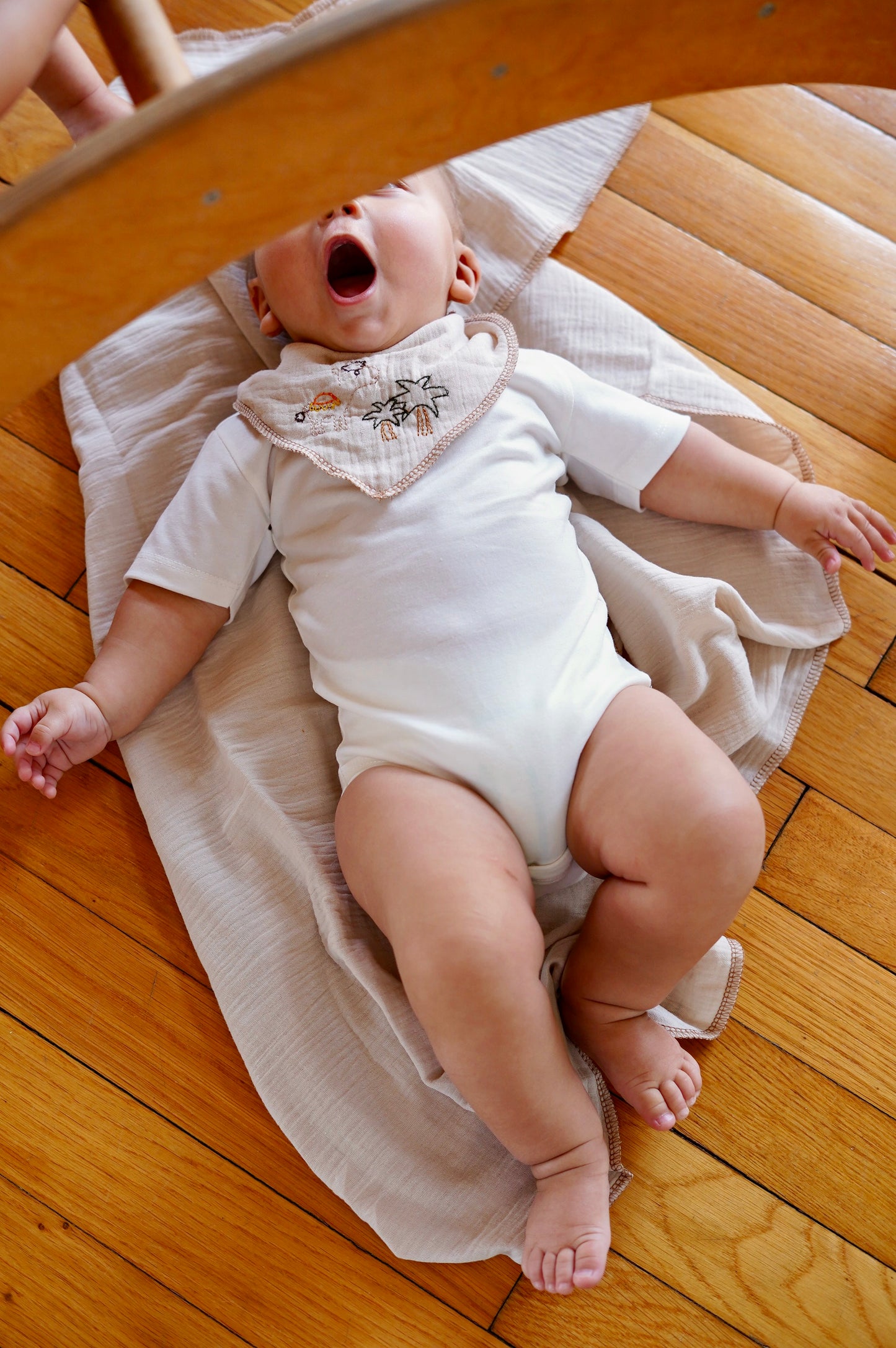 Bibs - Pack of 2 - Sage & Beige